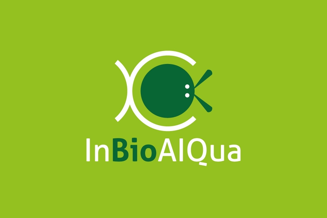 InBioAIQua, prime tappe