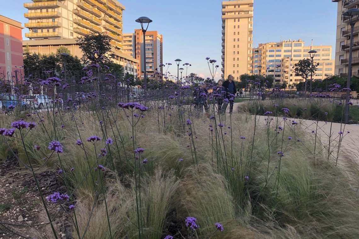 Bari, cresce il verde