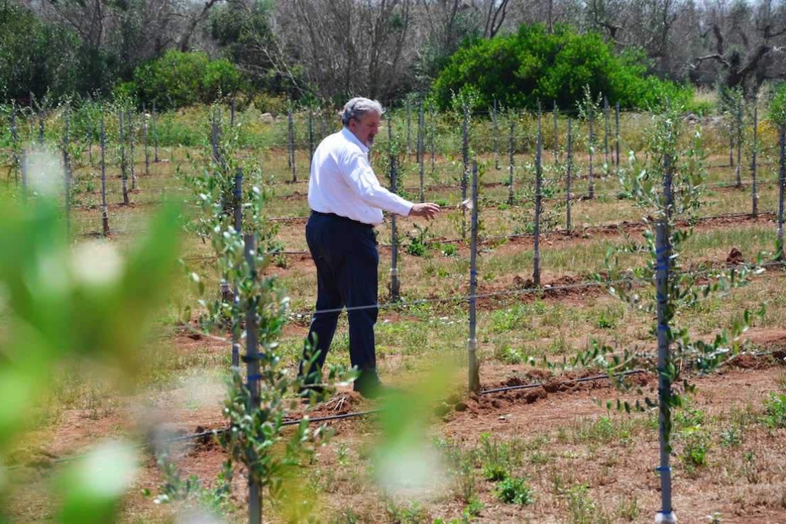 Xylella, Emiliano in visita nei campi salentini