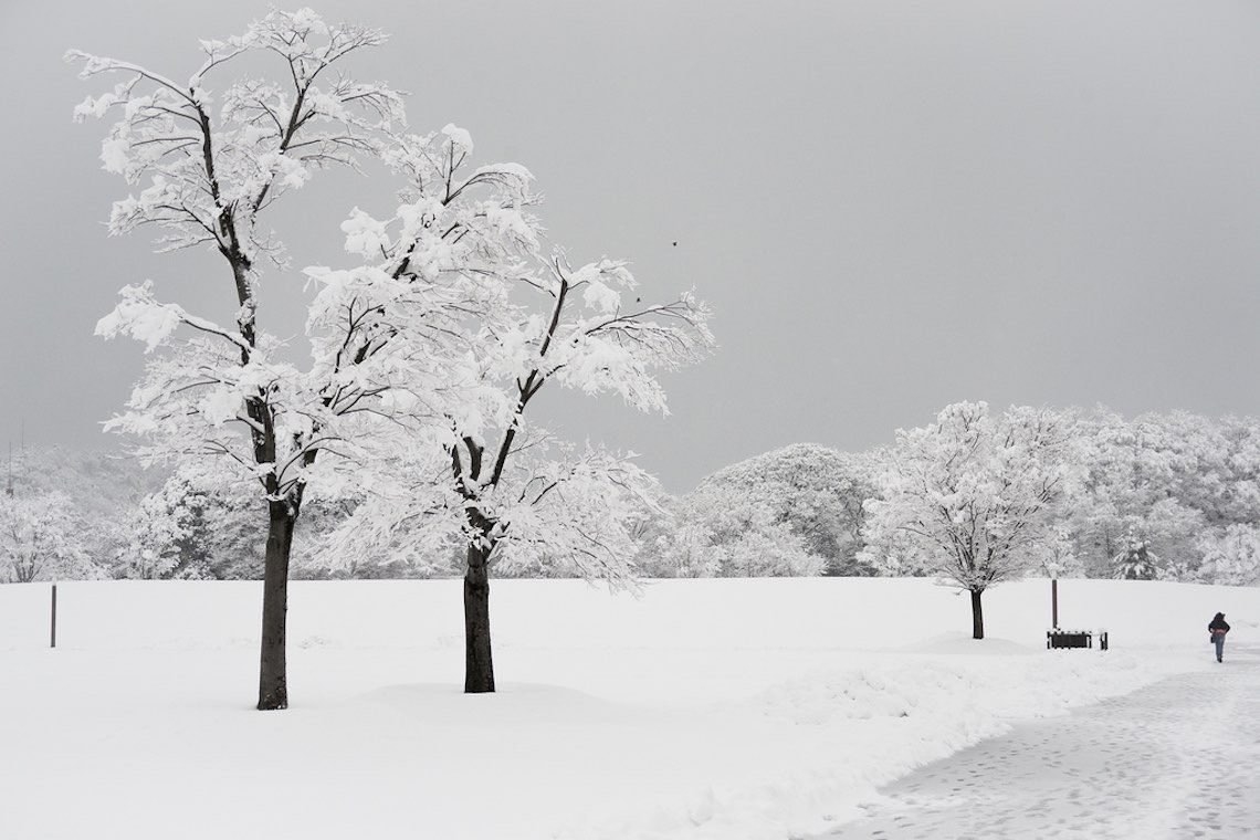 Neve, Fermine funambolo della bellezza