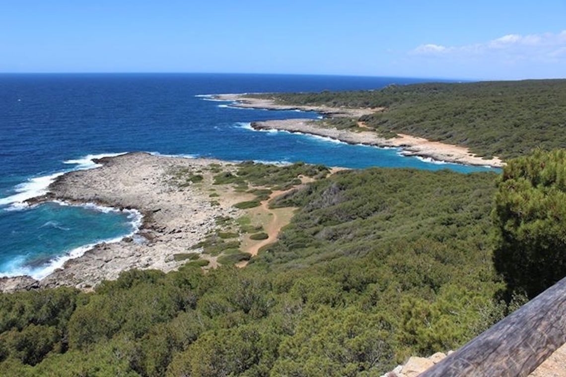 Parco naturale di Porto Selvaggio, il verde oltre il mare