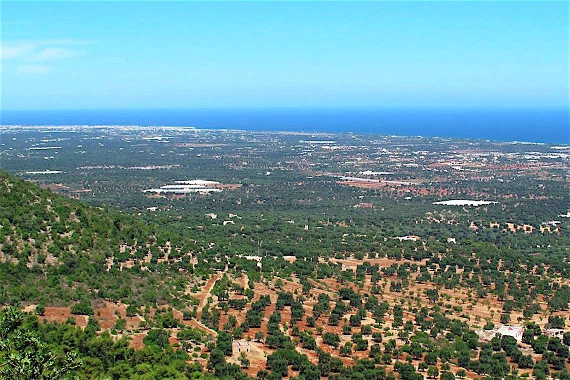 Selva di Fasano, tornanti da guidare