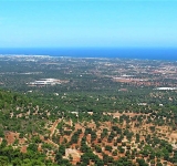 Selva di Fasano, tornanti da guidare