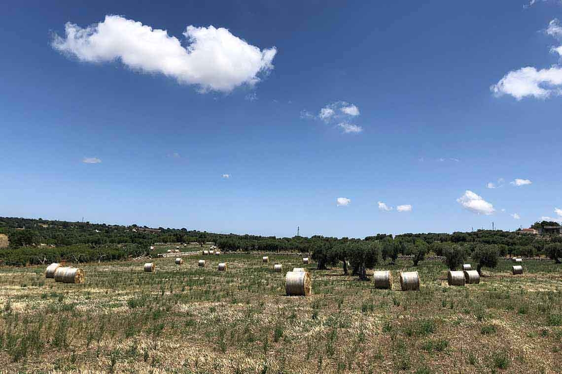 Maturità, crescere restando se stessi