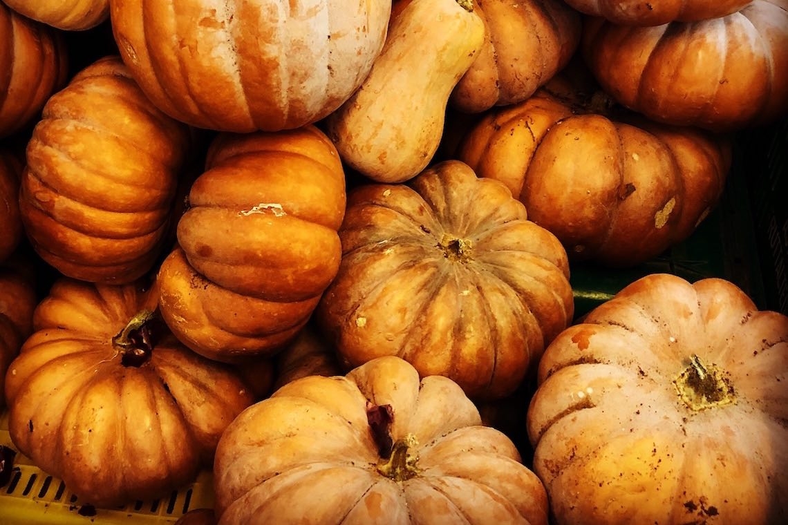 Zucca, inquietante delizia