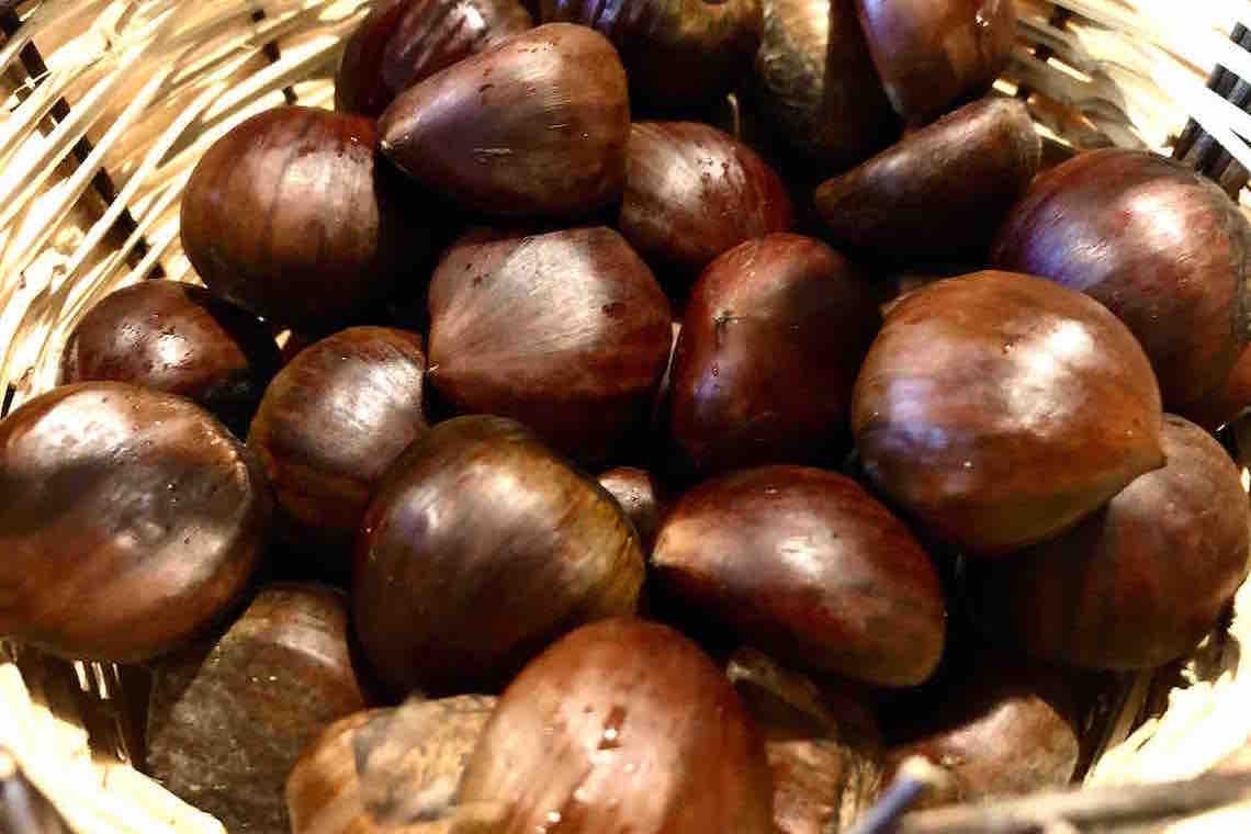 Castagne, tra gli alberi i frutti