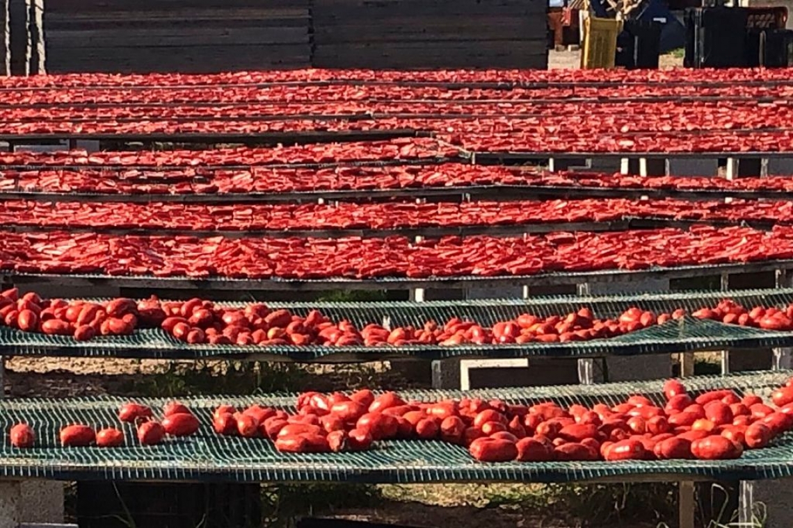 Un mare rosso, di pomidoro