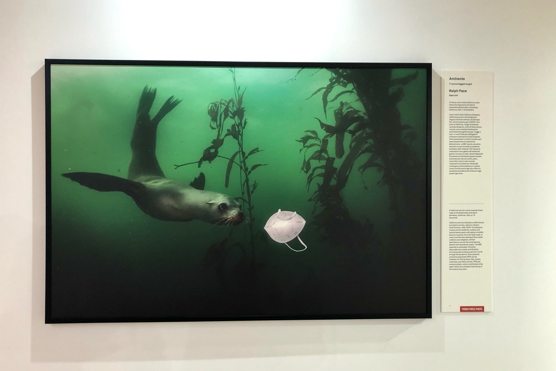 World Press Photo, abbracci di emozioni