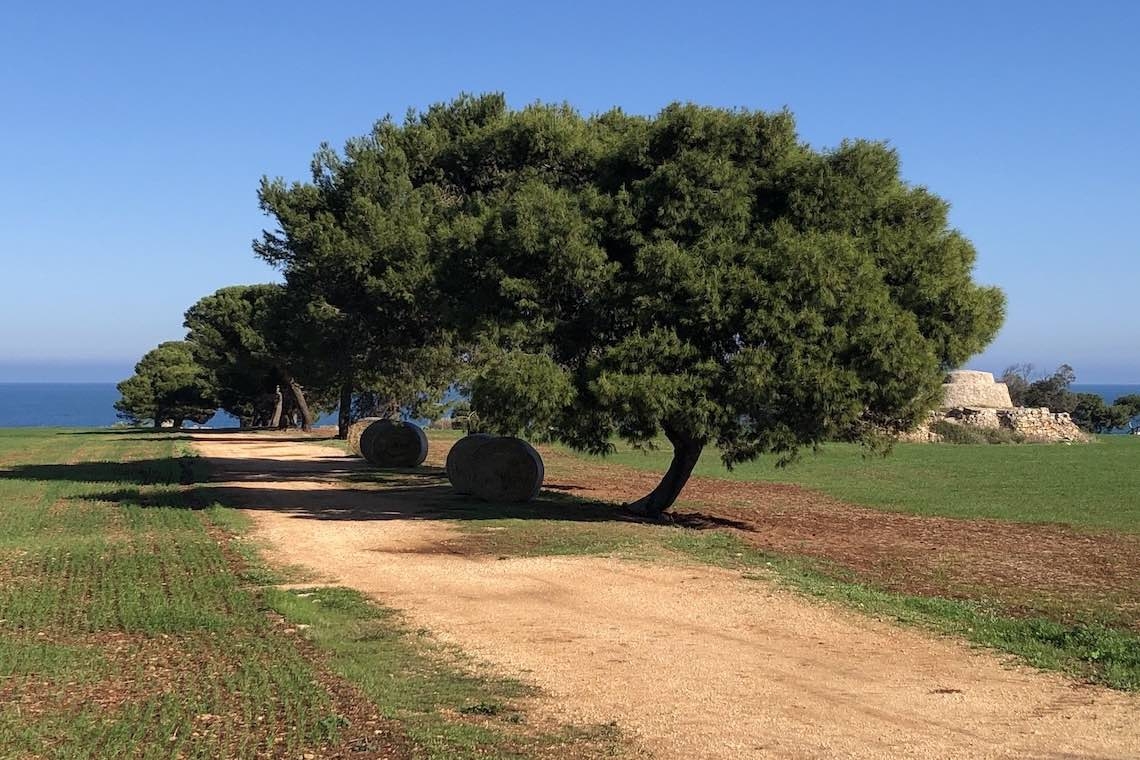 Lungo la strada istantanea presenza