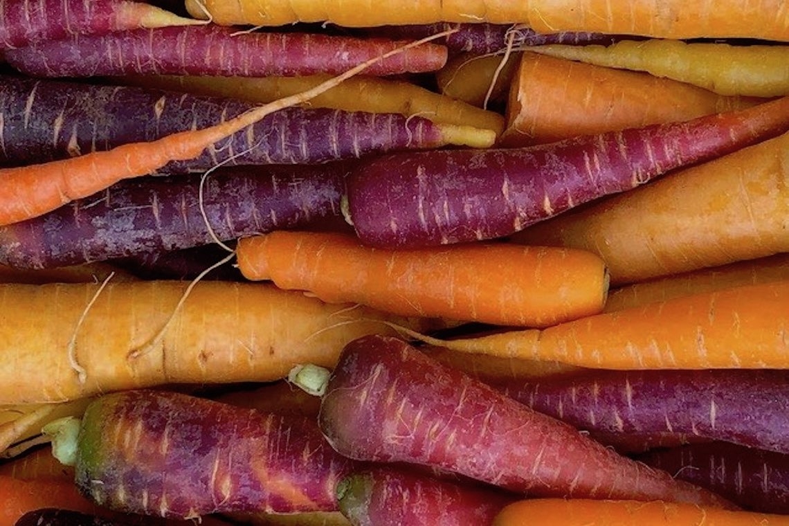 Tubero viola carota di Polignano