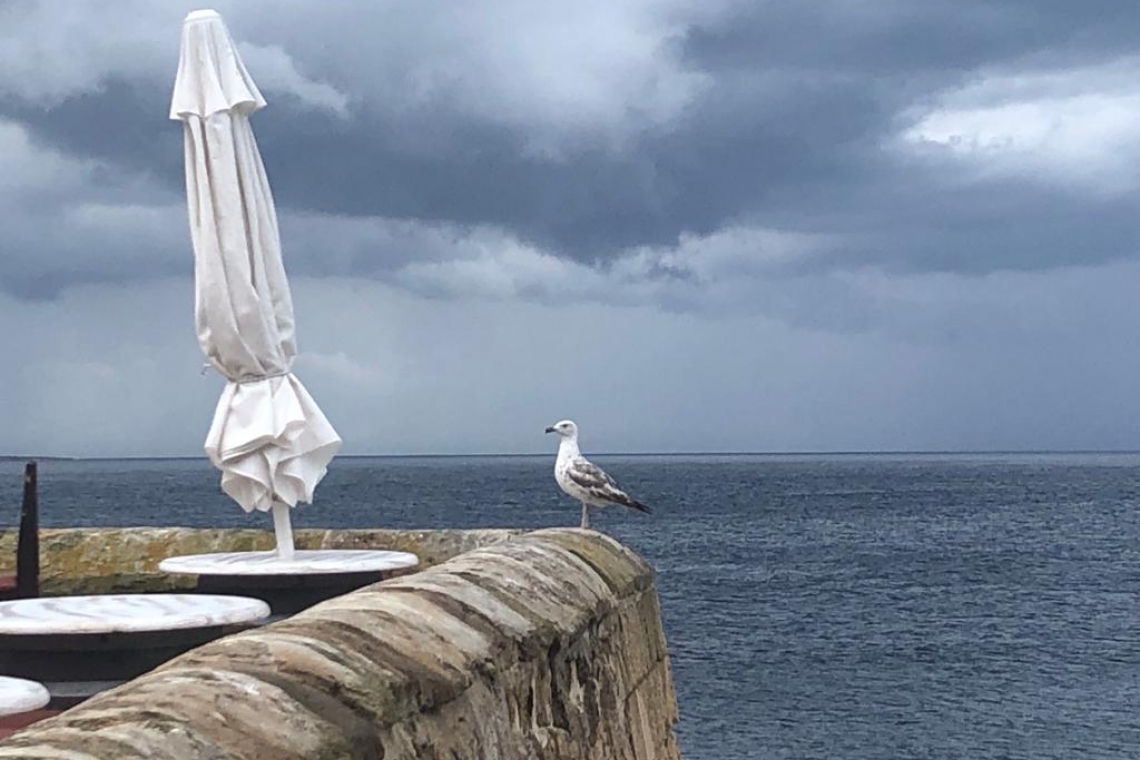 Con gli occhi al cielo aspettando pioggia