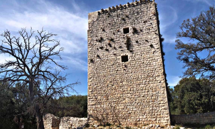 Torre di Castiglione, essenziale imponenza