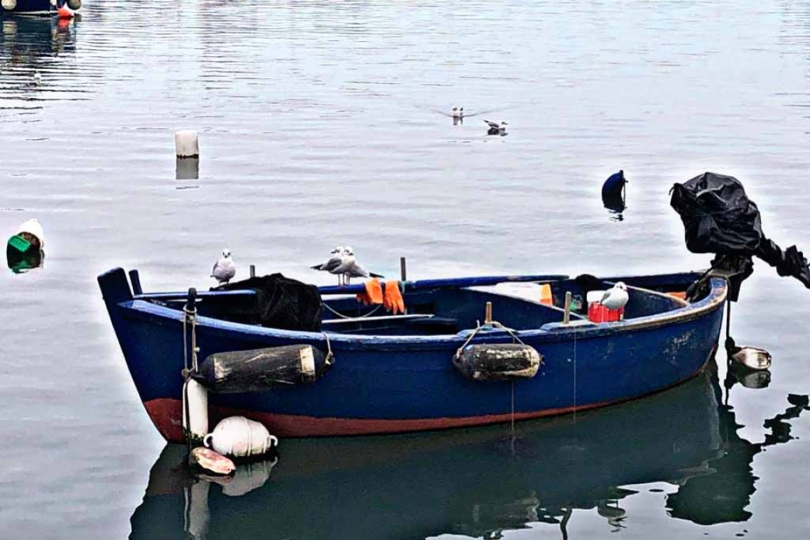 Erano quattro amici al sole