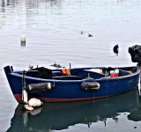 Erano quattro amici al sole