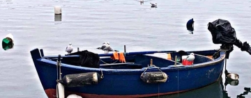 Erano quattro amici al sole