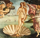 Botticelli, distillati di sapienza