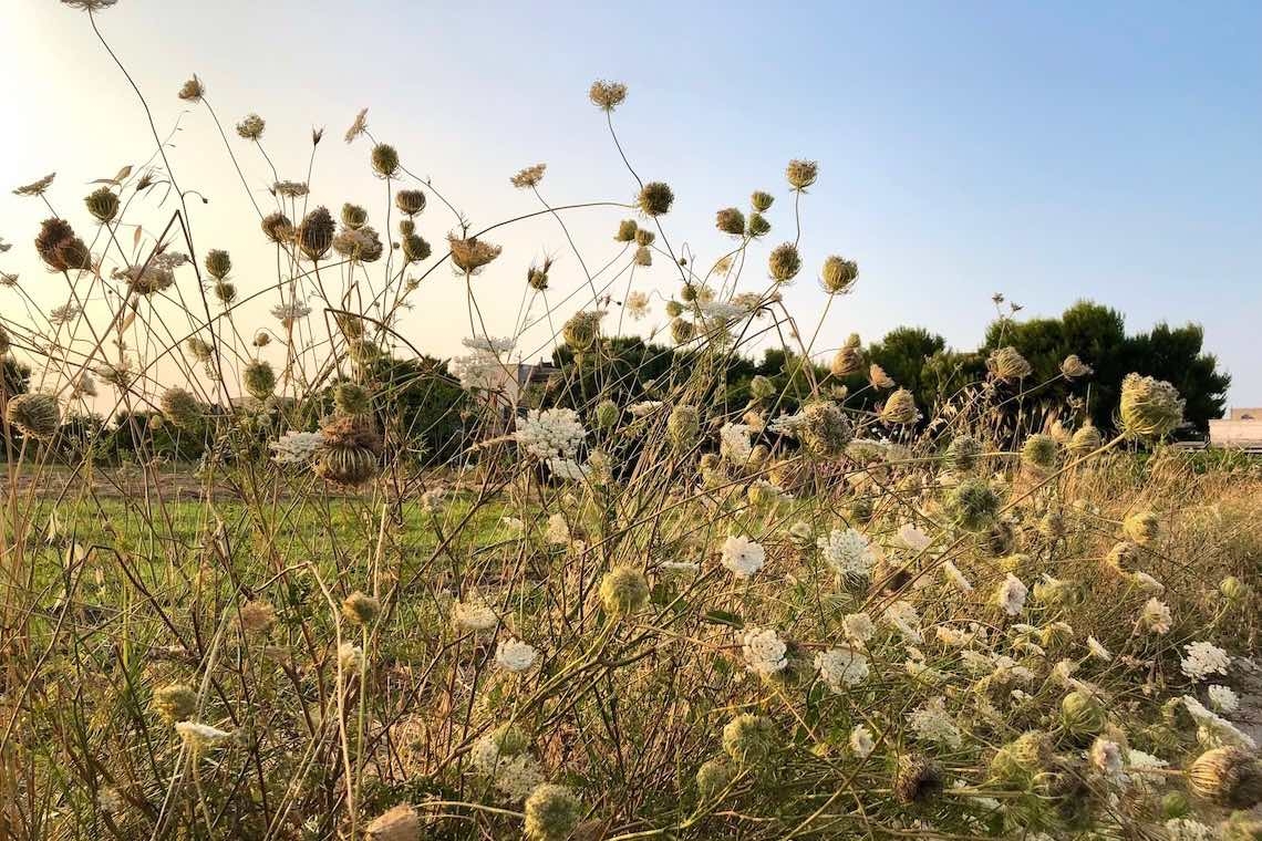 Quando il sole gioca a nascondino