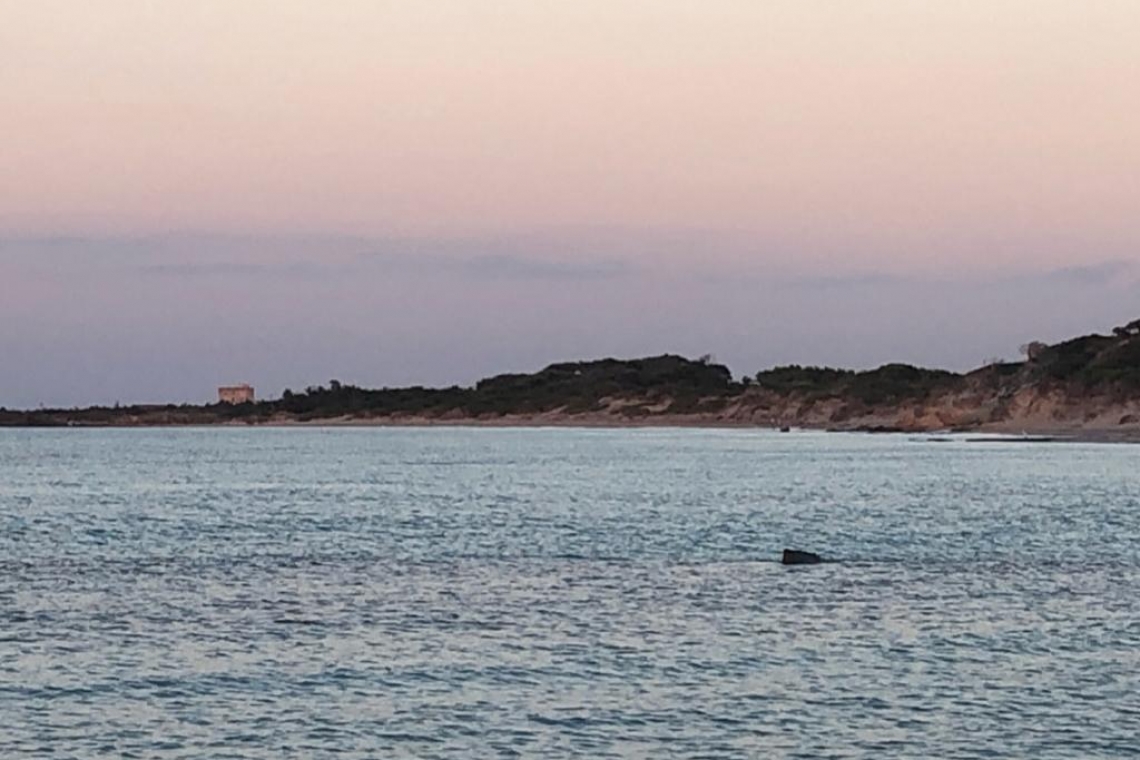 Torre Guaceto, oasi naturale