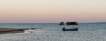 La scelta di combattere