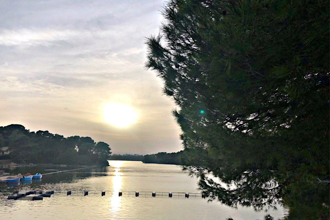 Laghi Alimini, profumo di natura