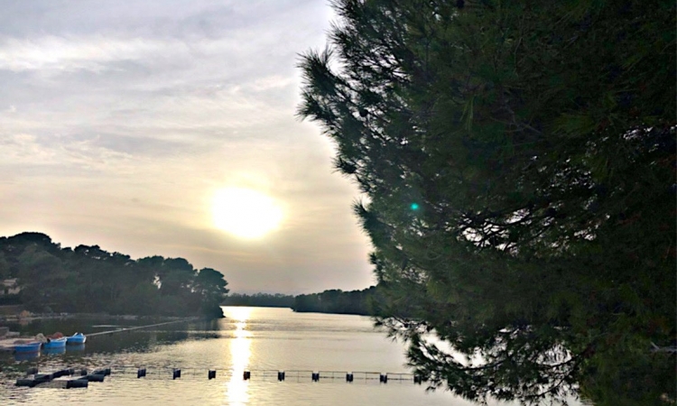 Laghi Alimini, profumo di natura