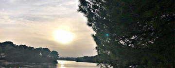 Laghi Alimini, profumo di natura