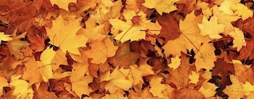 Novembre, come foglie il Natale
