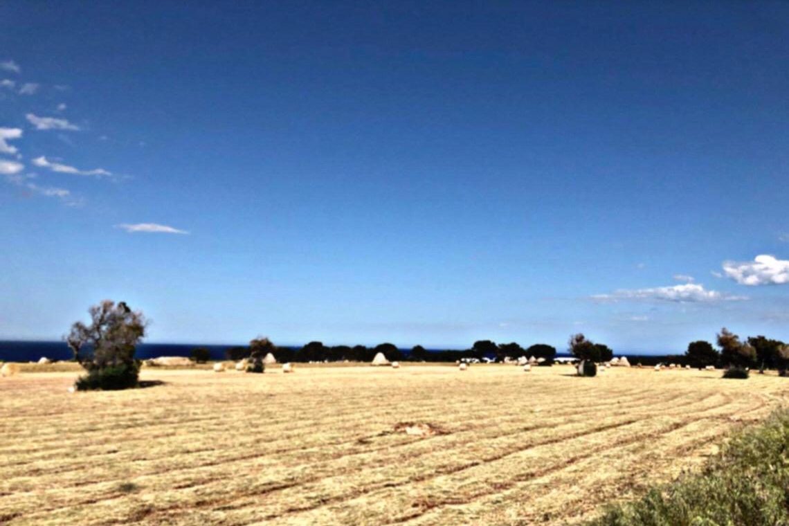 Giugno, non è primavera