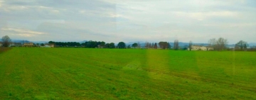 Verso la mia primavera 