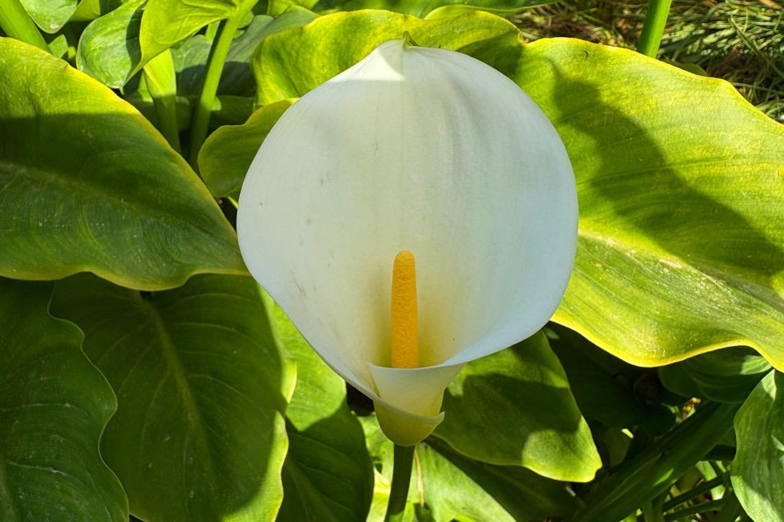 Dal buio alla luce