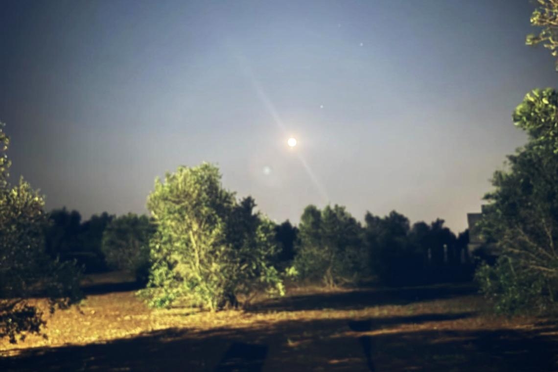 Bolle sotto una luna di fragole