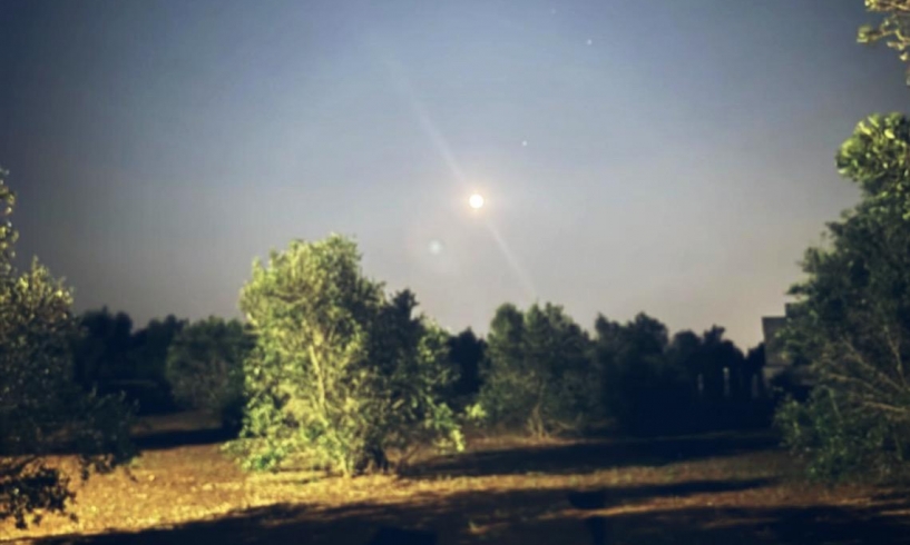 Bolle sotto una luna di fragole