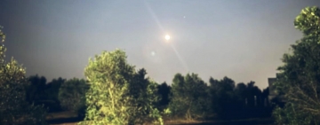 Bolle sotto una luna di fragole