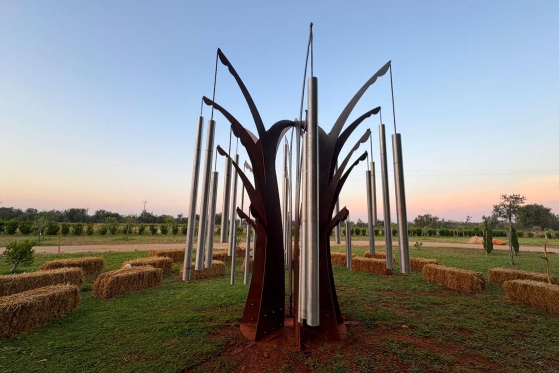 Alberi sonori, tornare alla natura