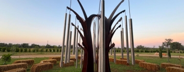 Alberi sonori, tornare alla natura