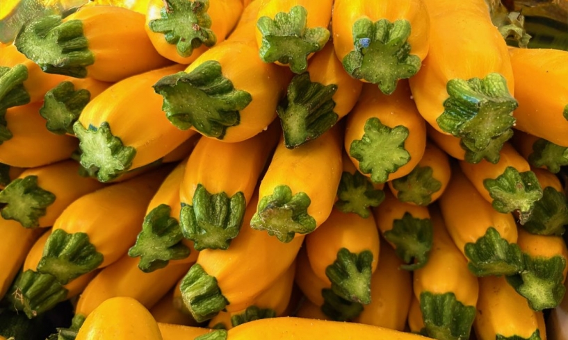 Zucchine come opere d’arte