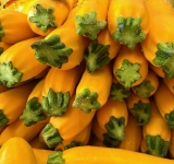 I dodici ritornelli di Crissi Campanale