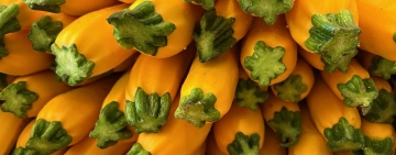 Zucchine come opere d’arte