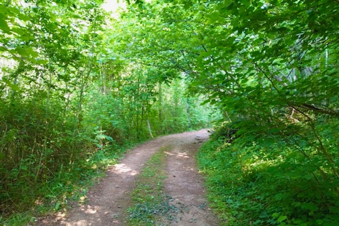 La strada non presa