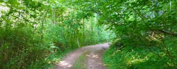 La strada non presa