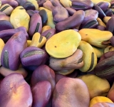 Zucchine come opere d’arte