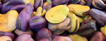 Fave nelle sere d’estate