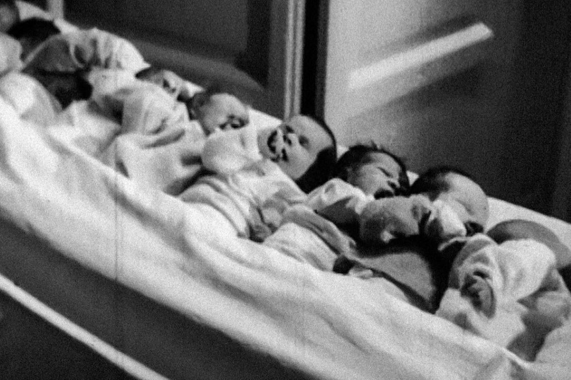 I Fratelli di culla di Alessandro Piva