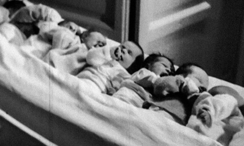 I Fratelli di culla di Alessandro Piva