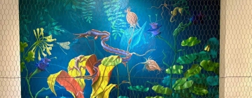 Quando l’umanità si perde