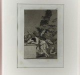 I capricci di Francisco Goya
