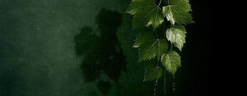 Oltre l’ombra, nulla