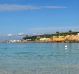 Peranzana, un’oliva da scoprire
