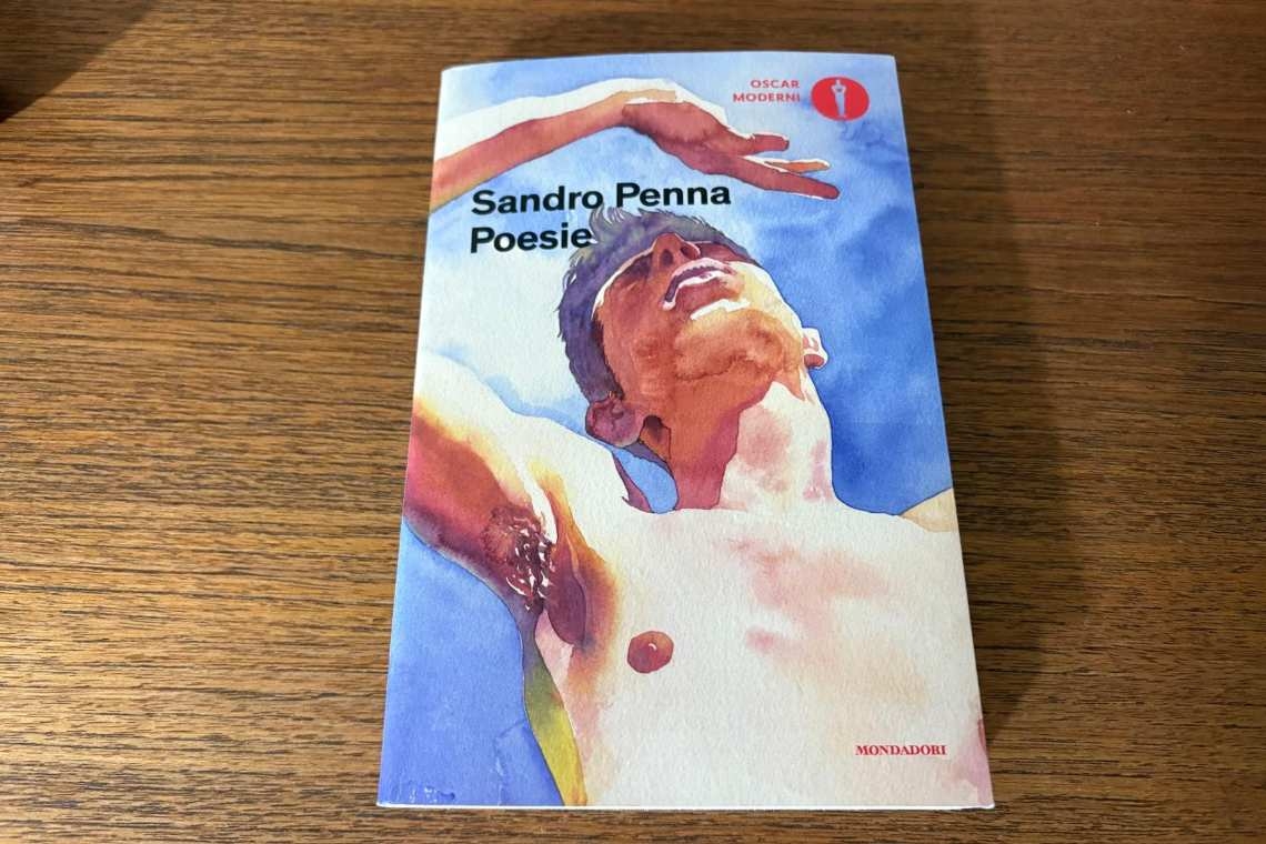 Sandro Penna, poesie