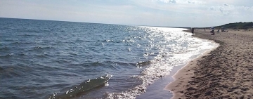 Come stelle sul mare